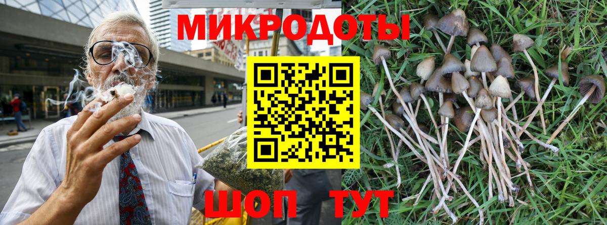 Псилоцибиновые грибы Psilocybine cubensis  Псилоцибиновые грибы мухоморы  Вход с VPN  Чапаевск 